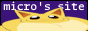 micro